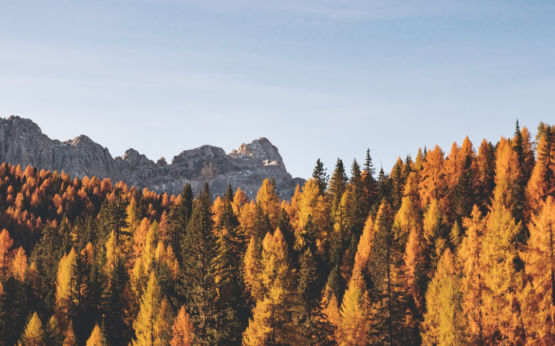 The Best US Fall Color Destinations for Hiking & Autumnal Hues